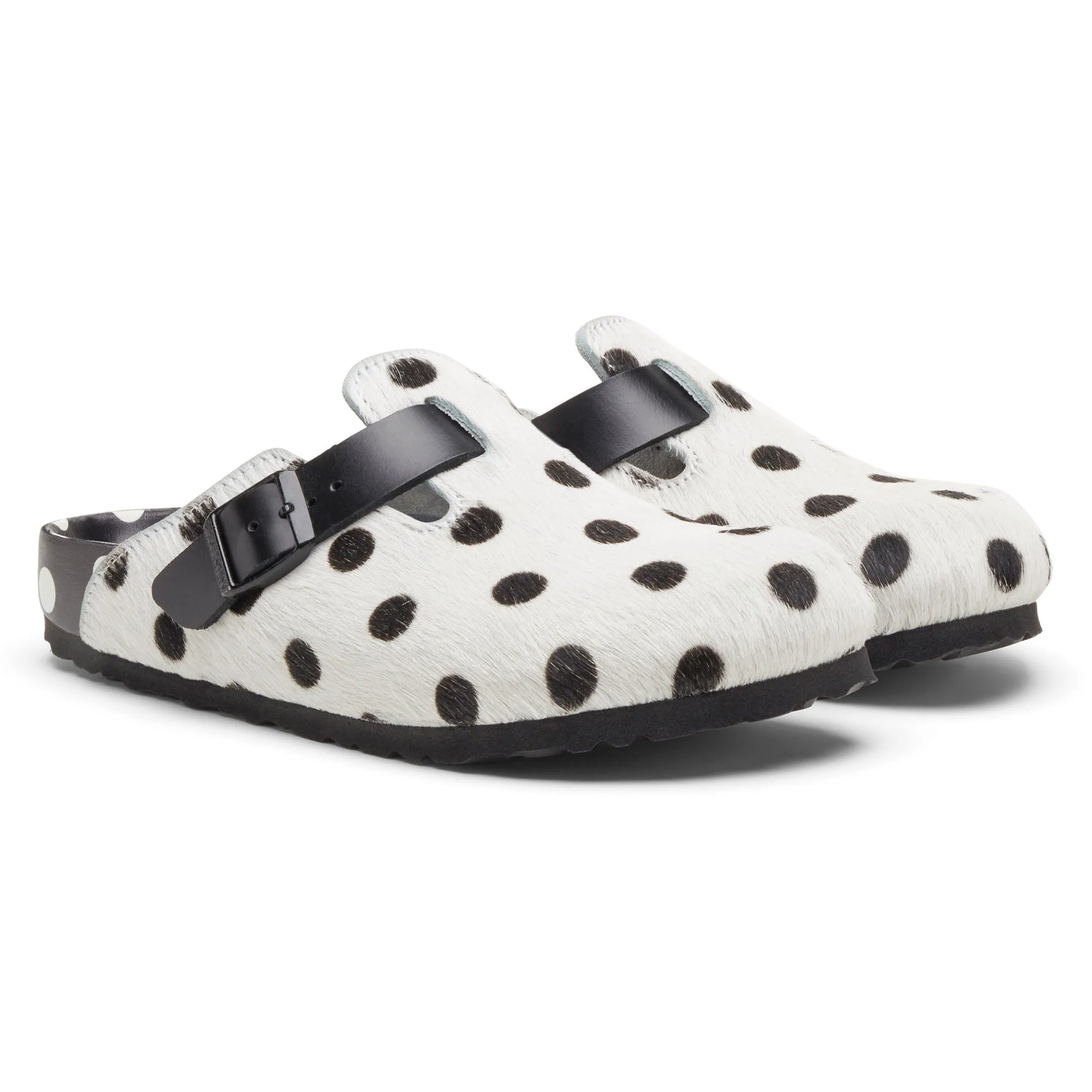 Boston Manolo Polka Dots - Image 4