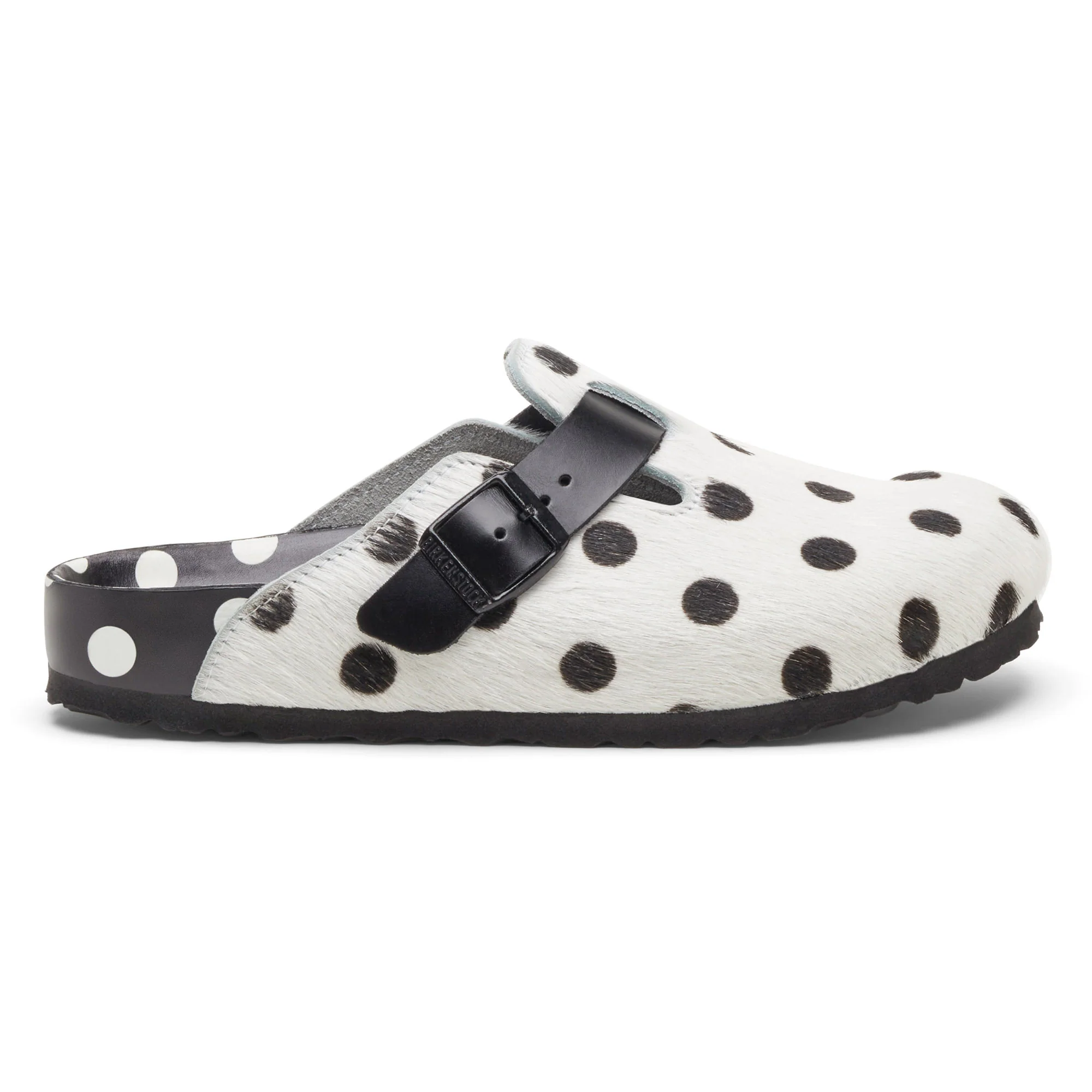 Boston Manolo Polka Dots - Image 5