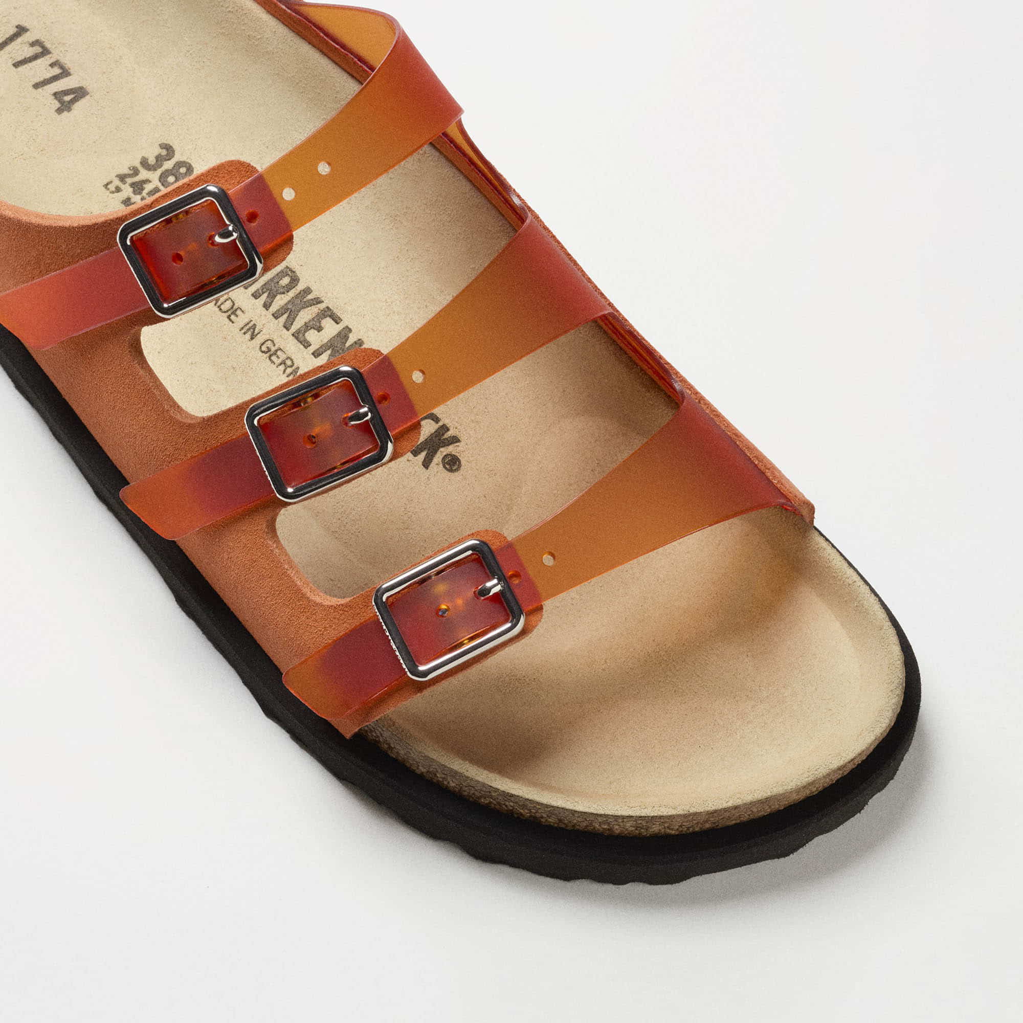 1774 Florida Milky - Image 3