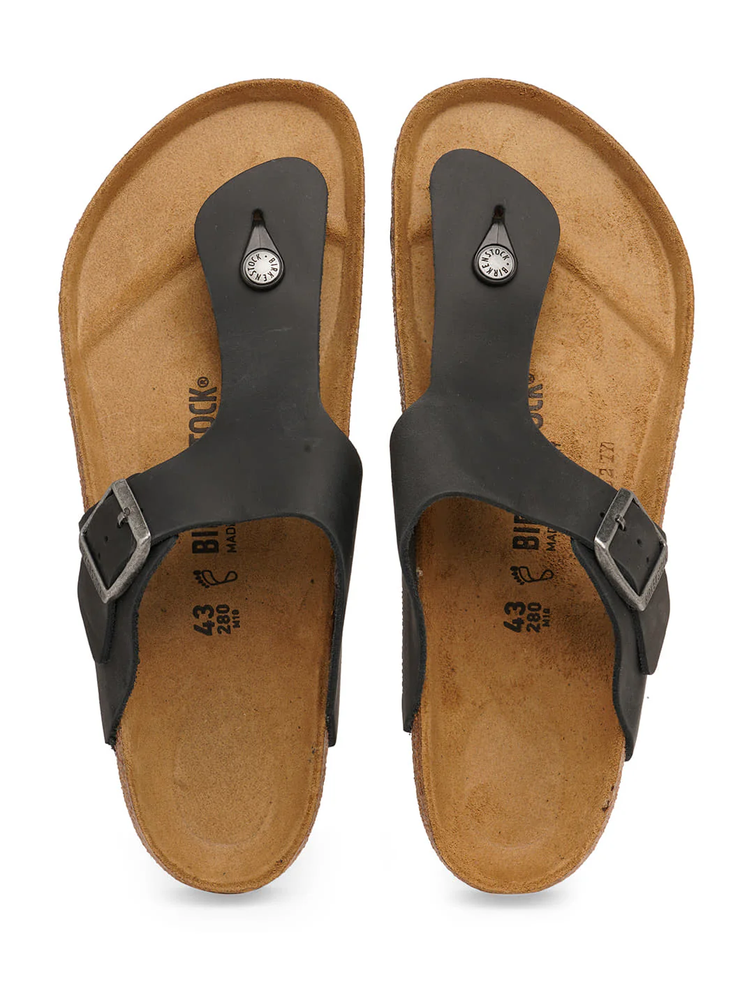 Ramses Oiled Leather - Image 3