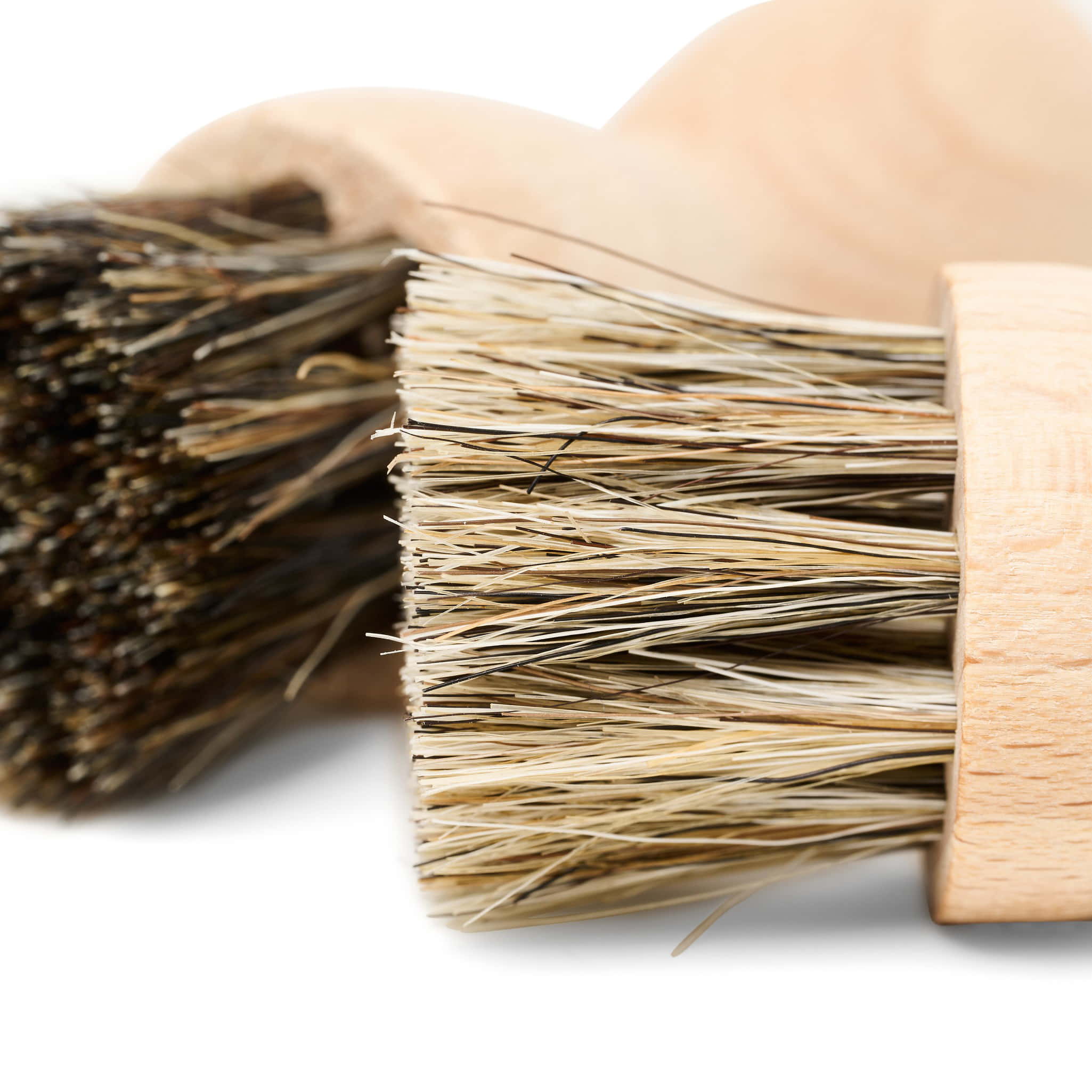 Application Brush (2 pcs) - Image 4